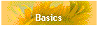 Basics